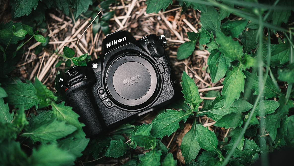 Master Your Photography with the New Nikon Z8: A Comprehensive Guide ...