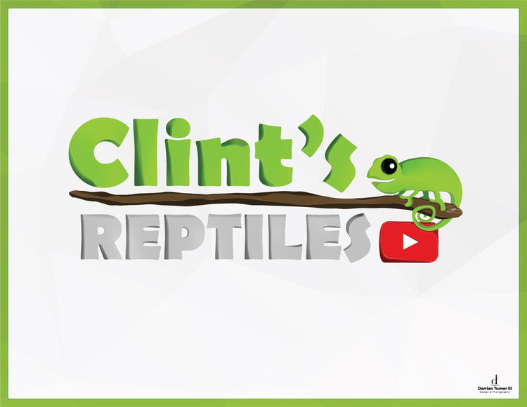 Clint's Reptiles