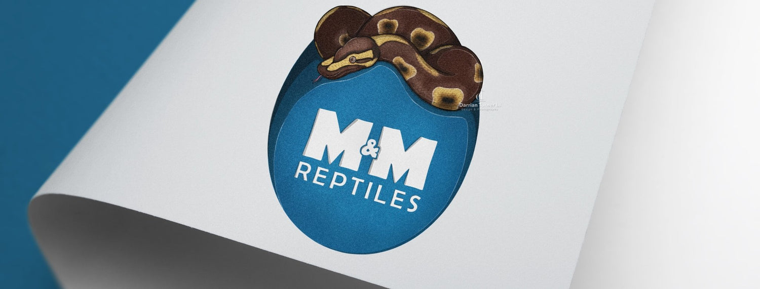 M&M Reptiles