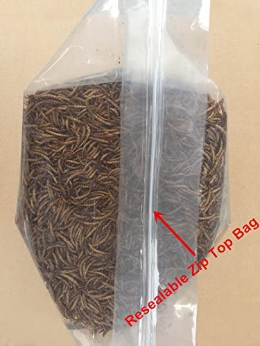 10lbs Bulk Non - GMO Dried Mealworms for Reptile , Tortoise ; Amphibian ,Lizard ;Wild Birds; Chichens; Duck etc - D.T III | Design & Photography