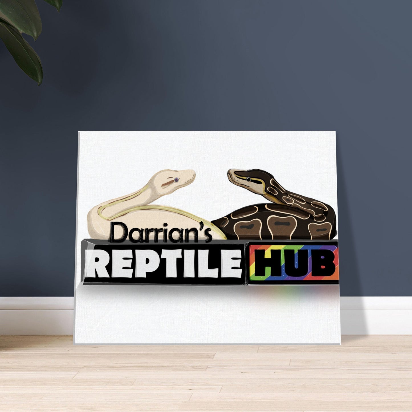 Darrian's Reptile Hub - Canvas