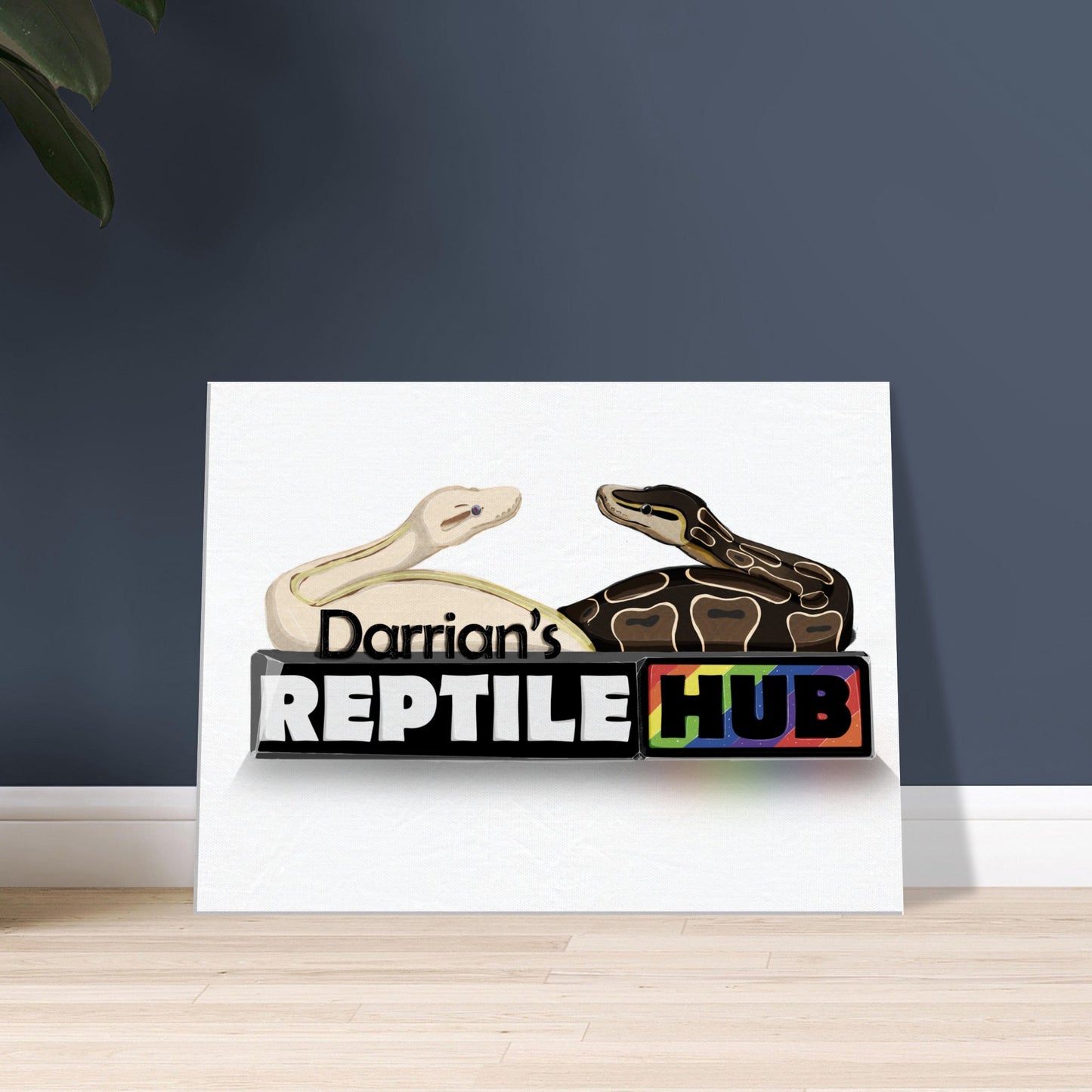 Darrian's Reptile Hub - Canvas