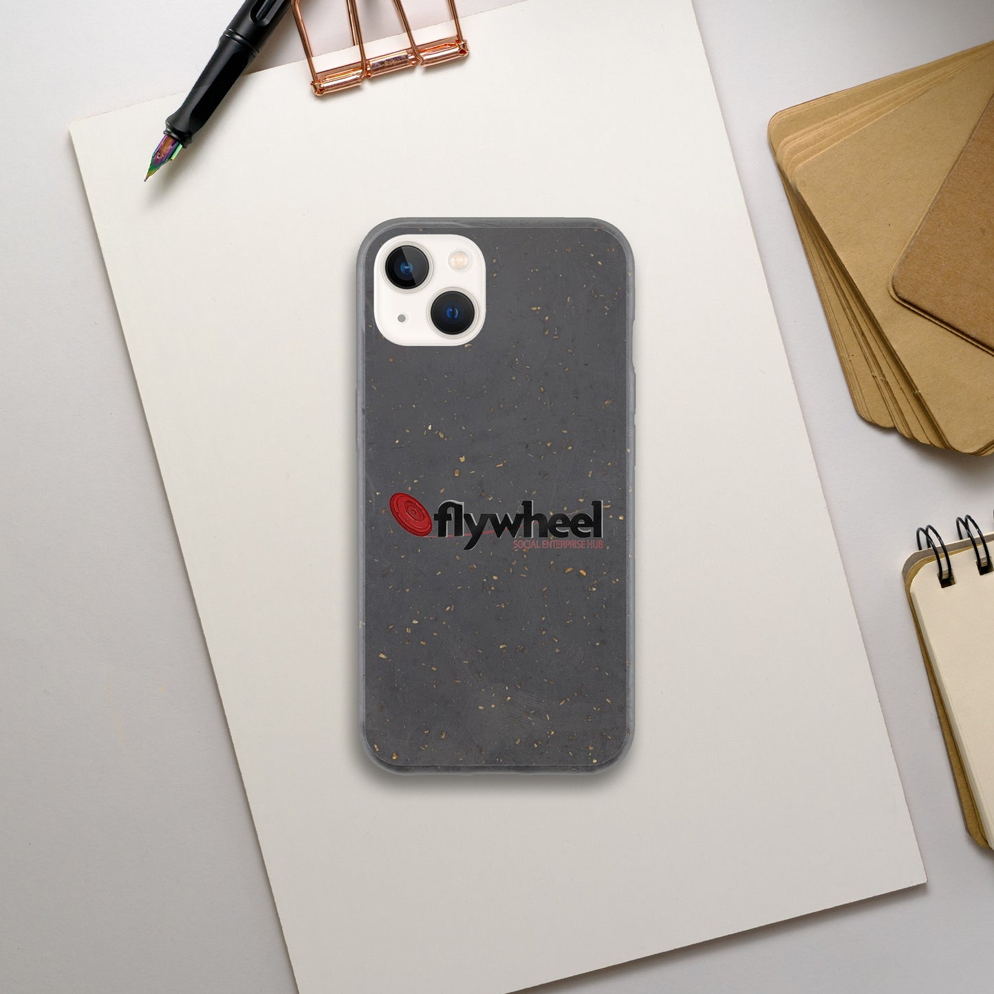 Flywheel Social Enterprise Hub - Bio case