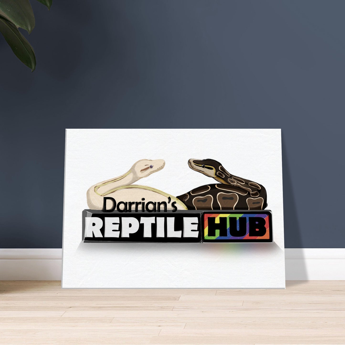 Darrian's Reptile Hub - Canvas