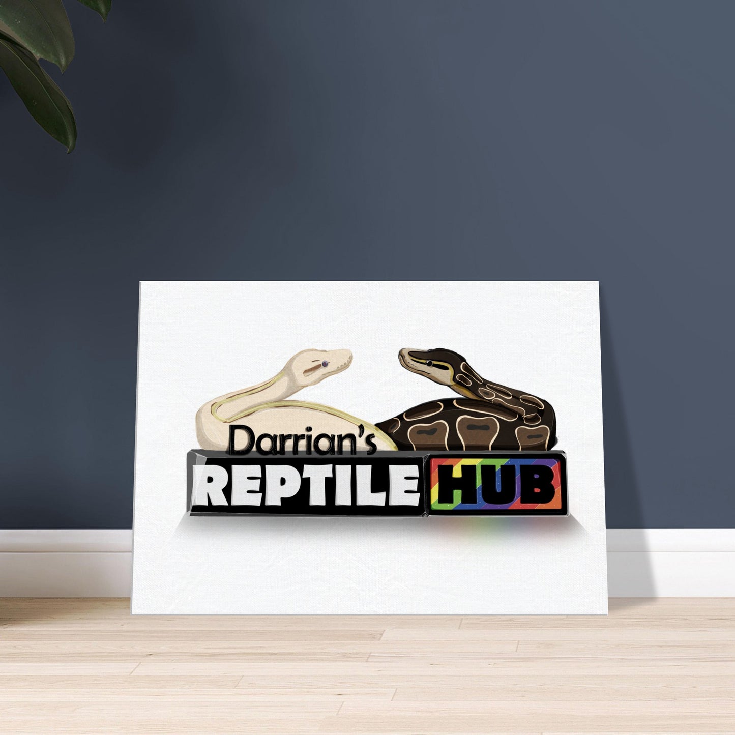 Darrian's Reptile Hub - Canvas