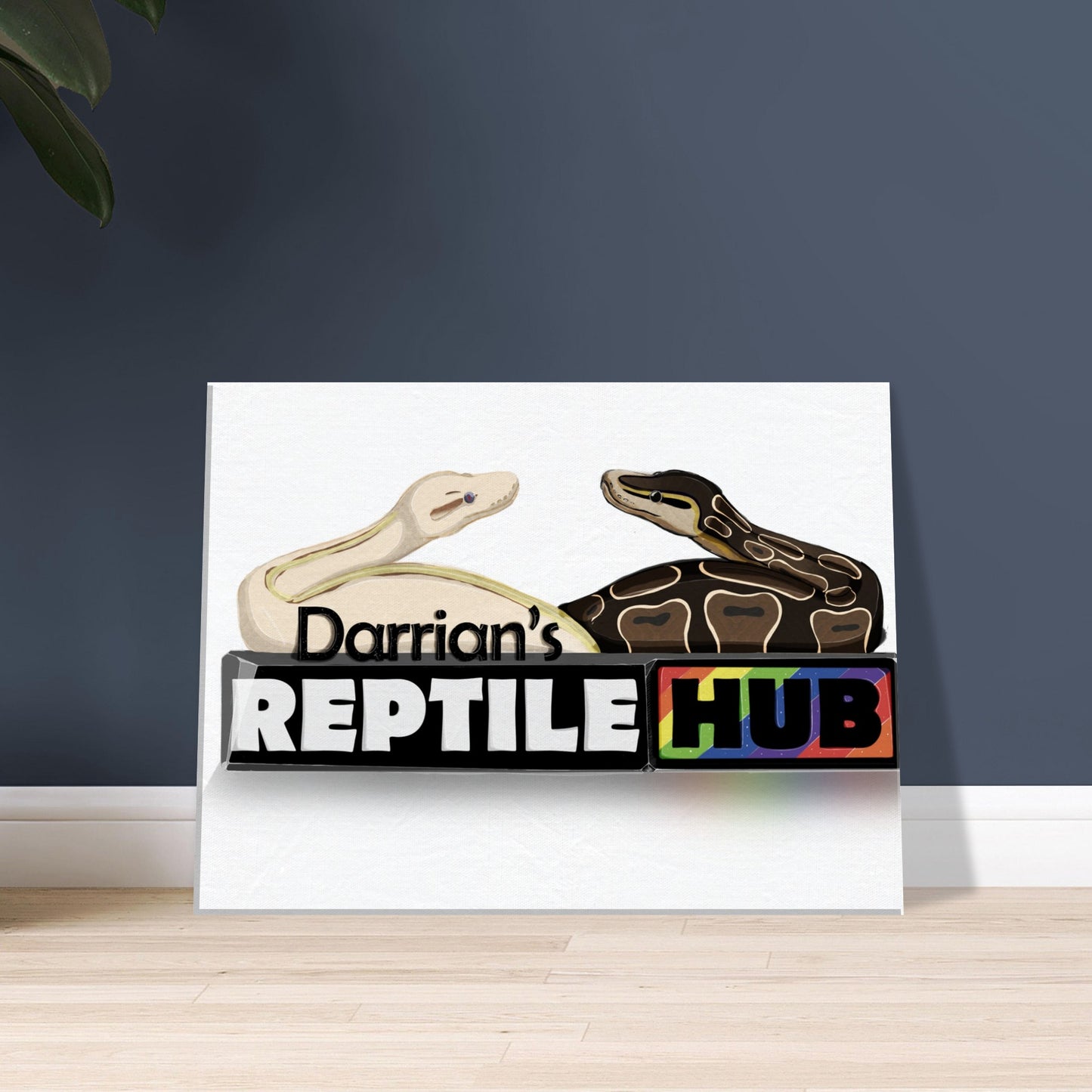 Darrian's Reptile Hub - Canvas