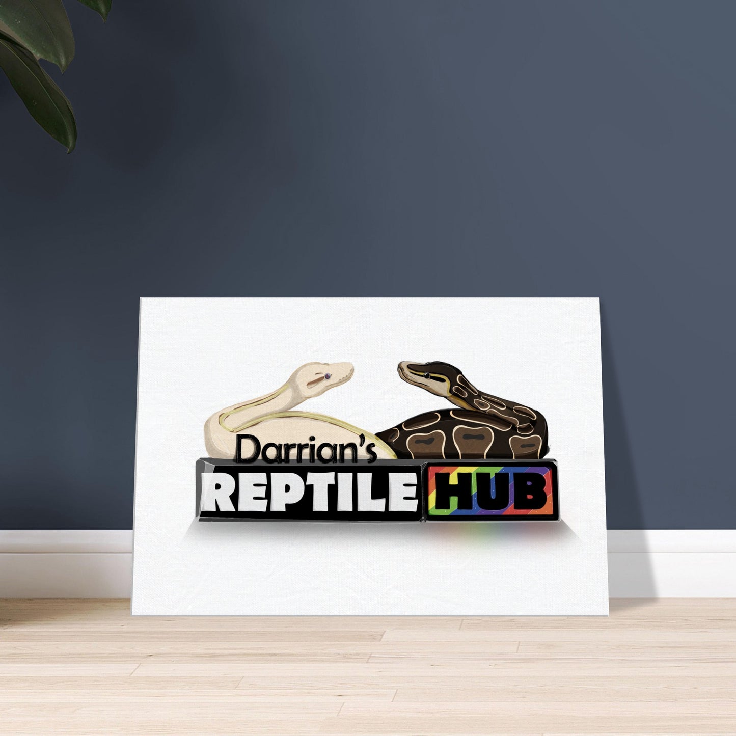 Darrian's Reptile Hub - Canvas