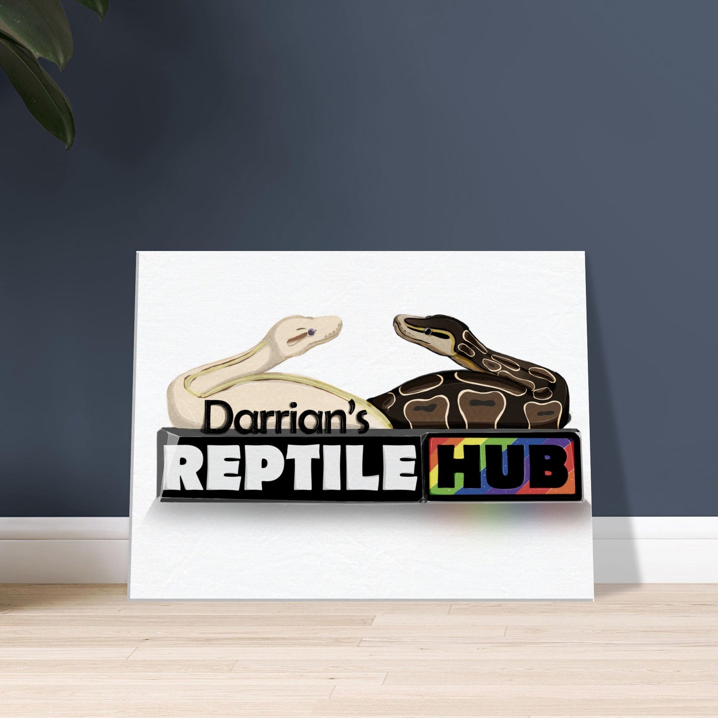 Darrian's Reptile Hub - Canvas